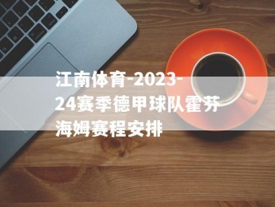 江南体育-2023-24赛季德甲球队霍芬海姆赛程安排